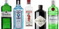Gin Gin